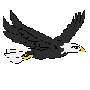 8a9ccdde9cf256c09bde088329a45087-d5xpfk4.gif
